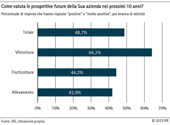 Come valuta le prospettive future della sua azienda nei prossimi 10 anni?