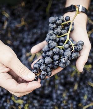 bericht-wein-idm-florian-andergassen