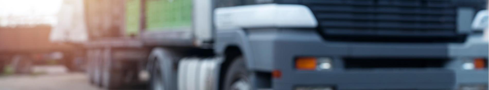 export-apfel-c-shutterstock