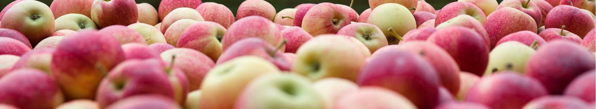 export-apfel-c-shutterstock