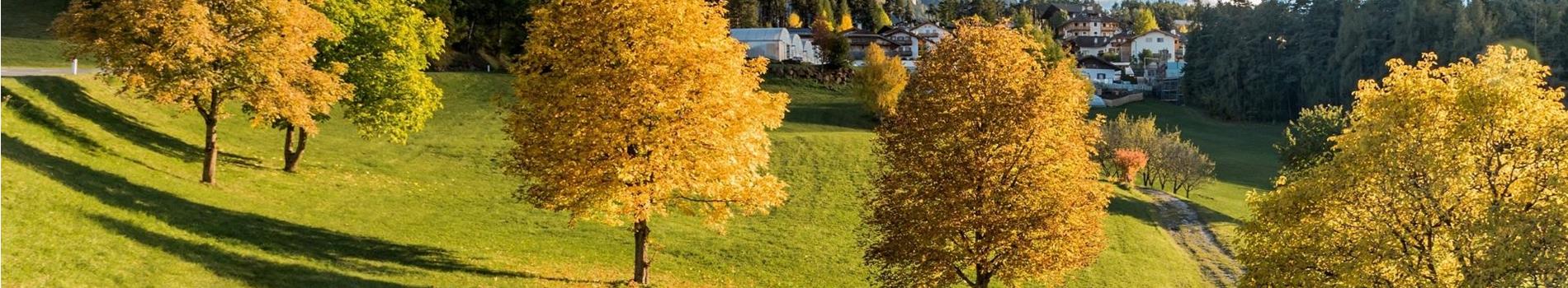 Alto Adige